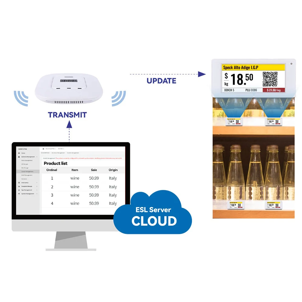 Proceso de transmisión